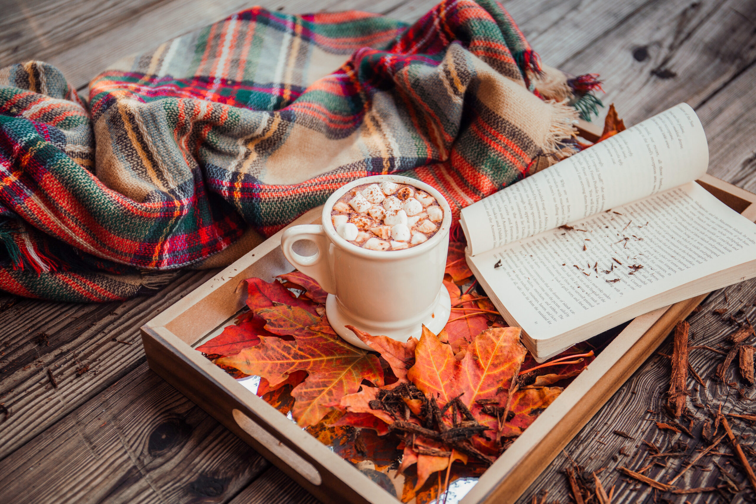 Family Fall Bucket List