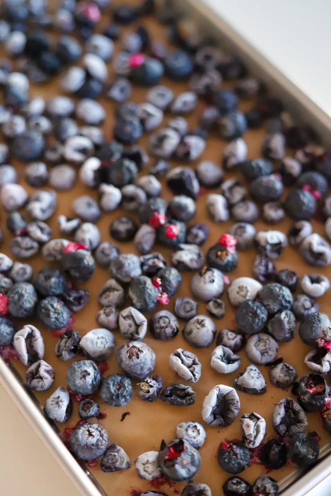 freeze dried blueberries
